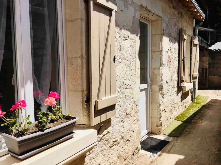 Logement Neuf Et Cosy Proche Centre Ville Chinon Kültér fotó
